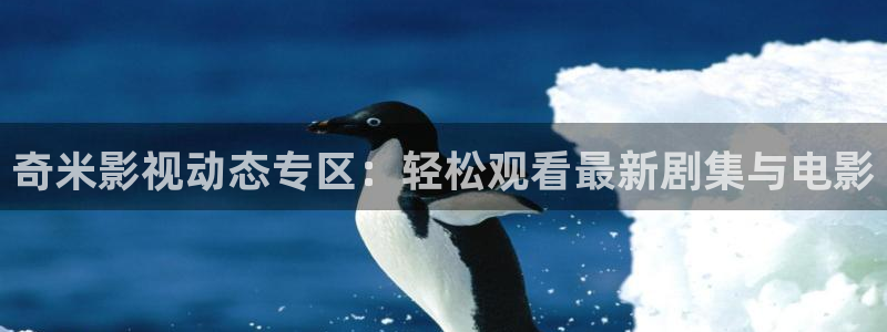 草莓18在线观看