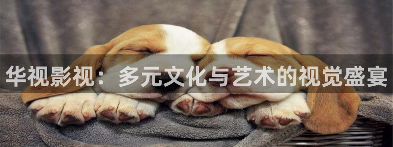 草莓影院在线免费观看